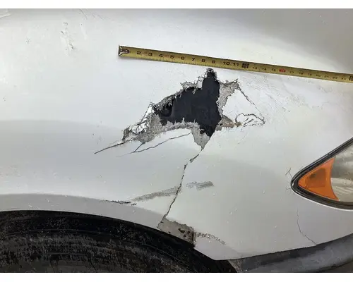 International PROSTAR Hood