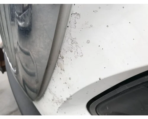 International PROSTAR Hood