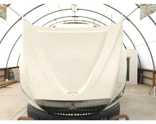 International PROSTAR Hood