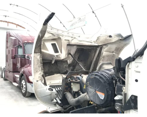 International PROSTAR Hood