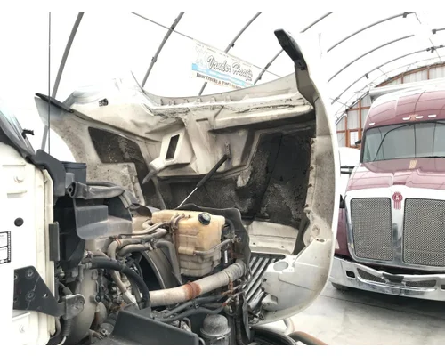International PROSTAR Hood