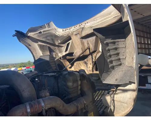 International PROSTAR Hood