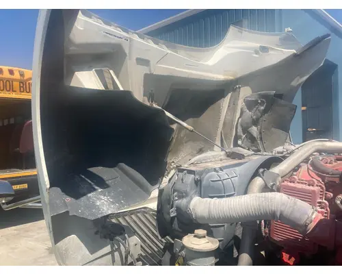 International PROSTAR Hood