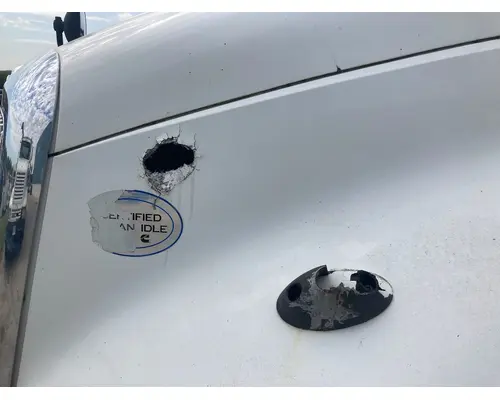 International PROSTAR Hood
