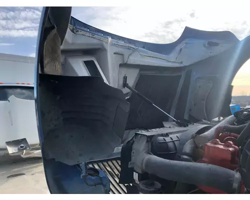 International PROSTAR Hood