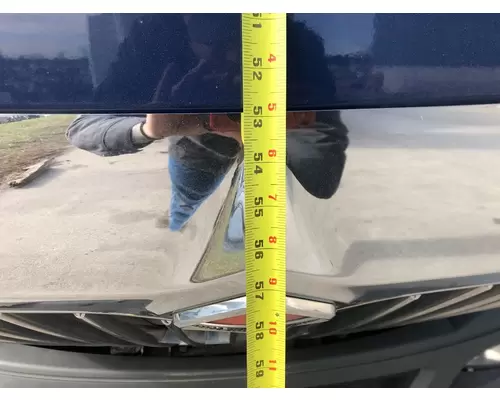 International PROSTAR Hood