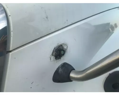 International PROSTAR Hood