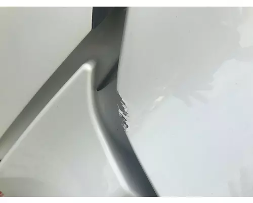 International PROSTAR Hood