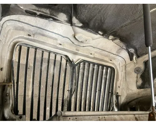 International PROSTAR Hood