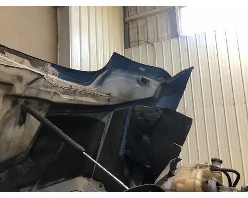 International PROSTAR Hood