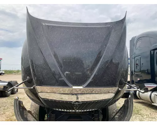 International PROSTAR Hood