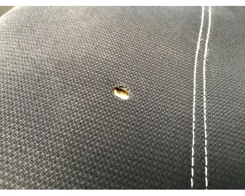 International PROSTAR Seat (non-Suspension)