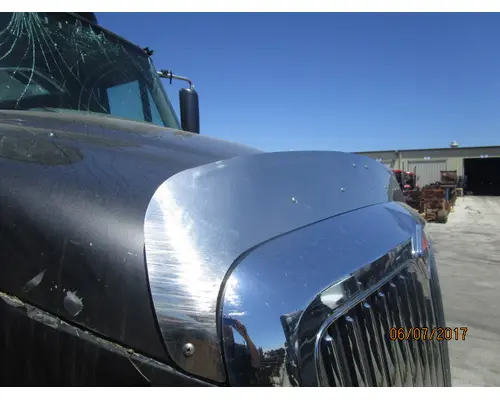 Body Parts, Misc. INTERNATIONAL PROSTAR 122 LKQ Heavy Truck - Goodys