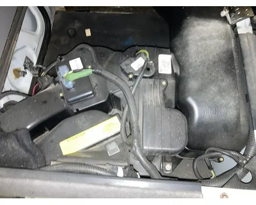 Body Parts, Misc. International PROSTAR Vander Haags Inc Col