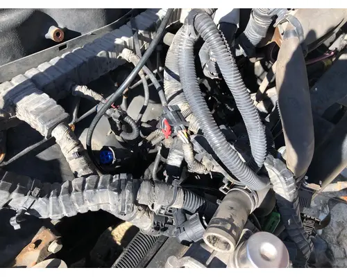 Engine Wiring Harness INTERNATIONAL Prostar B &amp; W  Truck Center