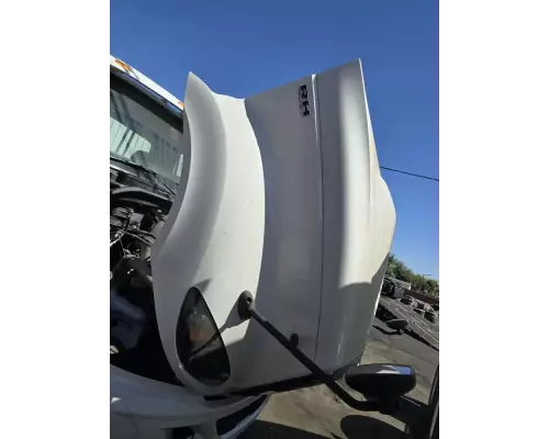 International RH613 Hood