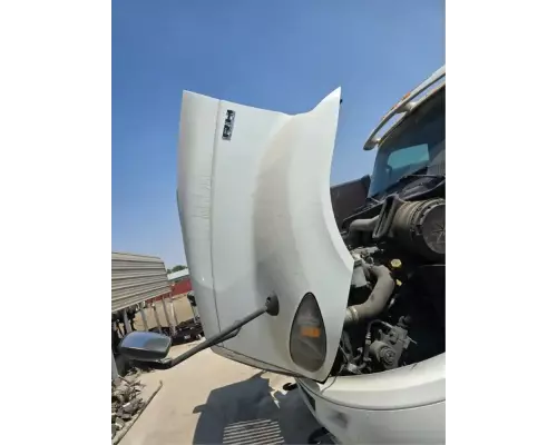 International RH613 Hood