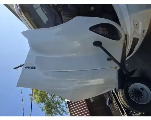 International RH613 Hood