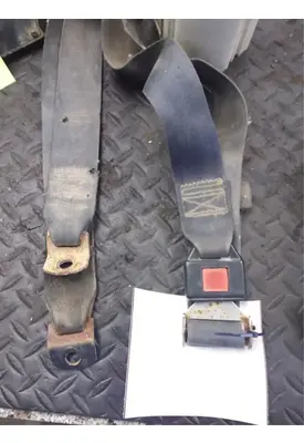 International S MODEL Seat Belt