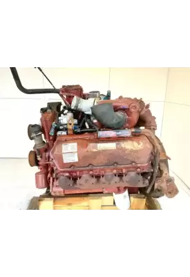 International T444E Engine Assembly