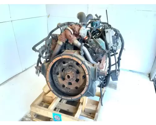 International T444 Engine Assembly