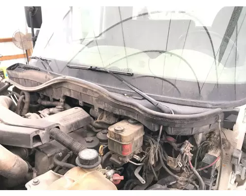 International TERRASTAR Cab Assembly