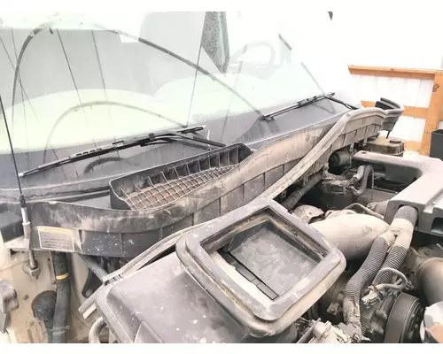 International TERRASTAR Cab Assembly