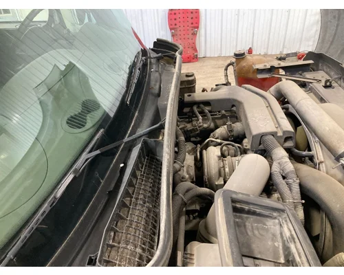International TERRASTAR Cab Assembly