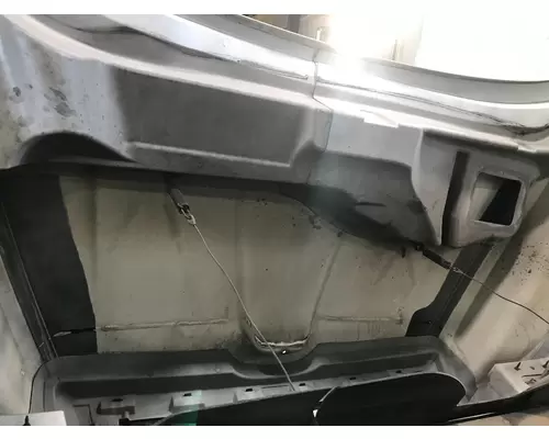 International TERRASTAR Hood