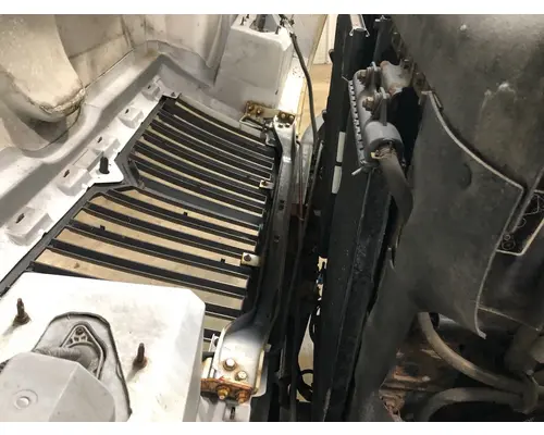 International TERRASTAR Hood