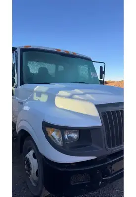 International TERRASTAR Hood