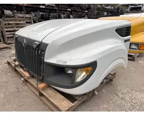 International TERRASTAR Hood