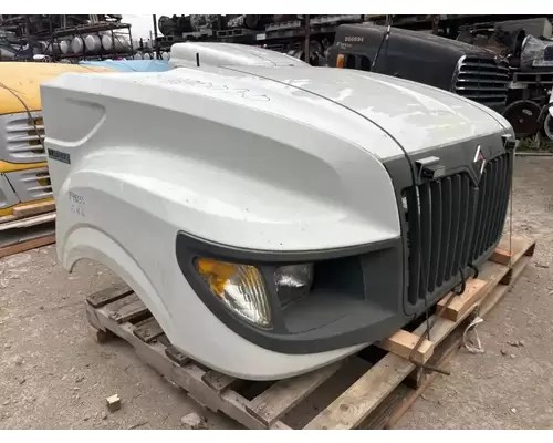International TERRASTAR Hood