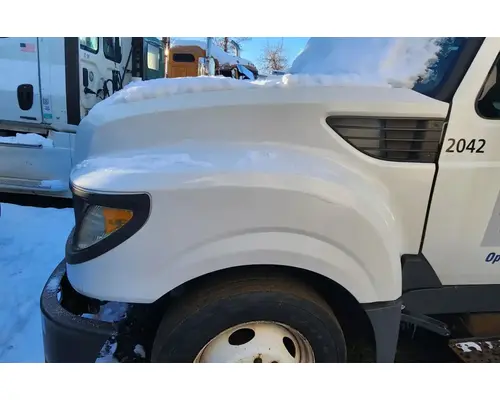 International TERRASTAR Hood