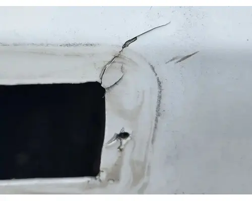 International TERRASTAR Hood