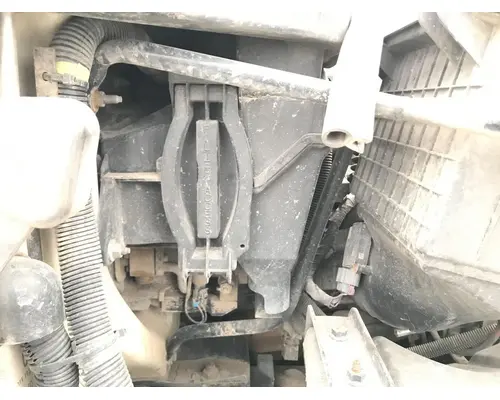 Body Parts, Misc. International TERRASTAR Vander Haags Inc Cb