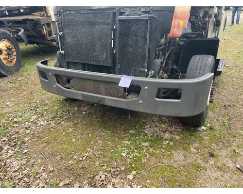 Bumper Assembly, Front INTERNATIONAL Terrastar Camerota Truck Parts