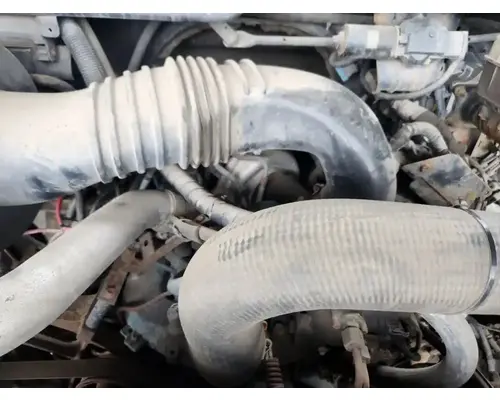 International VT365 Engine Assembly
