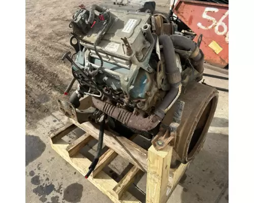 International VT365 Engine Assembly
