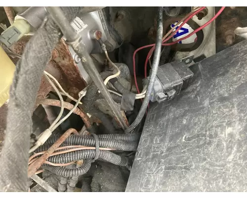 International VT365 Engine Wiring Harness