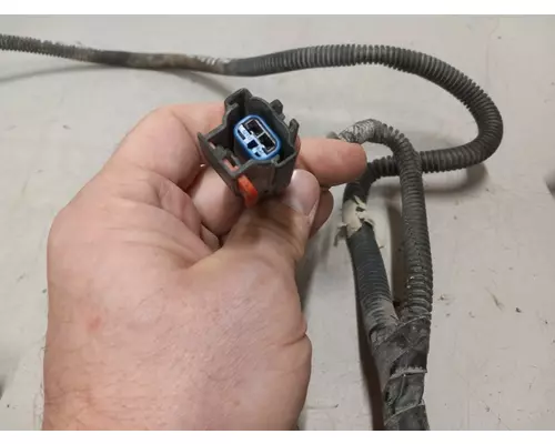 International VT365 Engine Wiring Harness