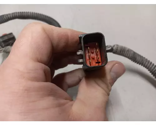 International VT365 Engine Wiring Harness