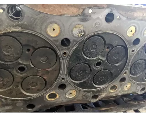 Isuzu 4HK1-TC Cylinder Head