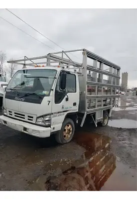 Isuzu NPR Door Assembly, Front