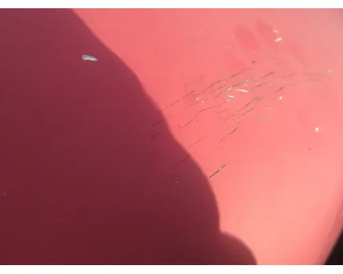KENWORTH T370 Hood