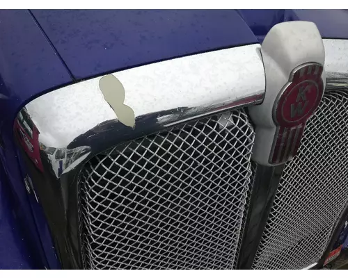 KENWORTH T600A Hood