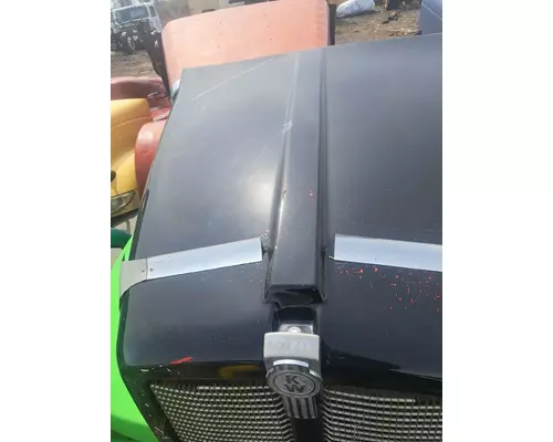 KENWORTH T600 Hood