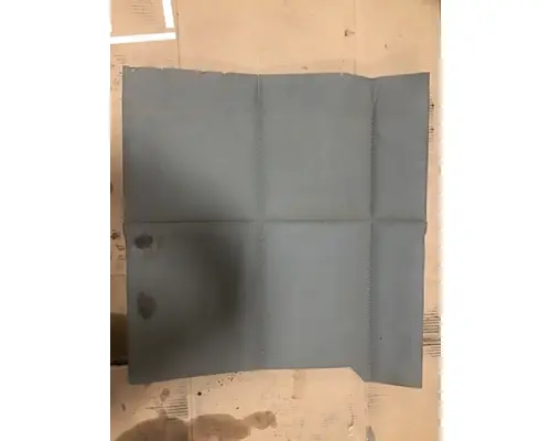 KENWORTH T680 Door Panel (Trim)