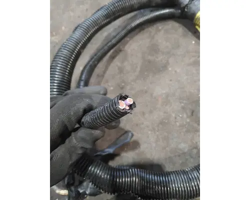 KENWORTH T800 Body Wiring Harness