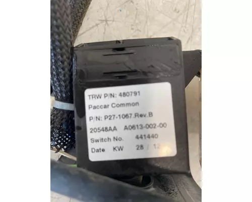 KENWORTH W900 Front Lamp (Turn Signal)